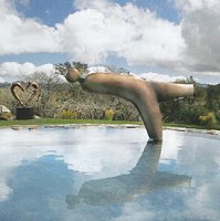Casa Tortuga - pool sculpture