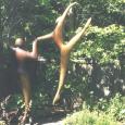 ASCENDING DANCERS (MONUMENTAL)   size: 126" x 80" x 36" (including base)    weight: 480 lbs   cast bronze 